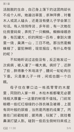 中国去菲律宾工作安全吗(工作签证分析)